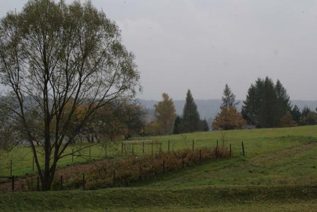 Agroturystyka U Maciejowej Villa Lanckorona Bagian luar foto