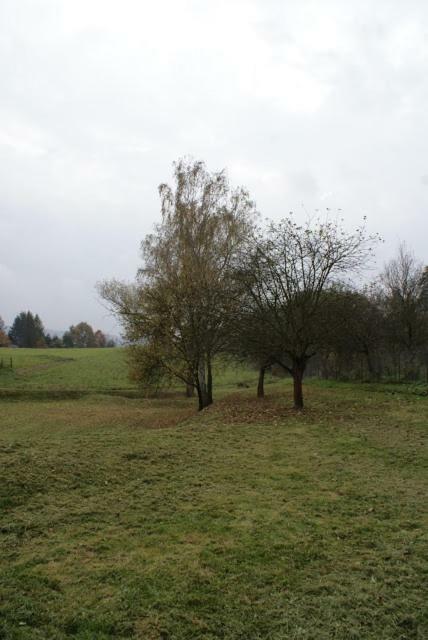 Agroturystyka U Maciejowej Villa Lanckorona Bagian luar foto